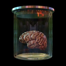 asylum-brain
